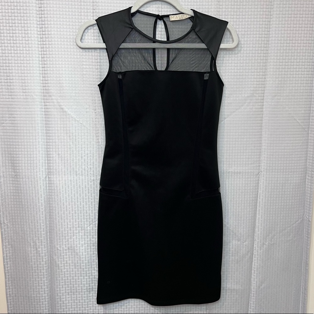 Mesh Bodycon Dress